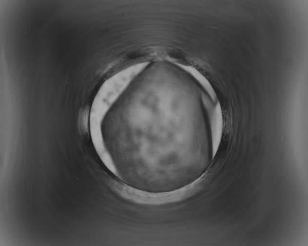 X0000086910047200705071312