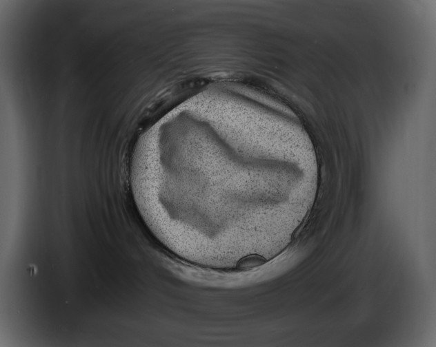 X0000086910048200705071312