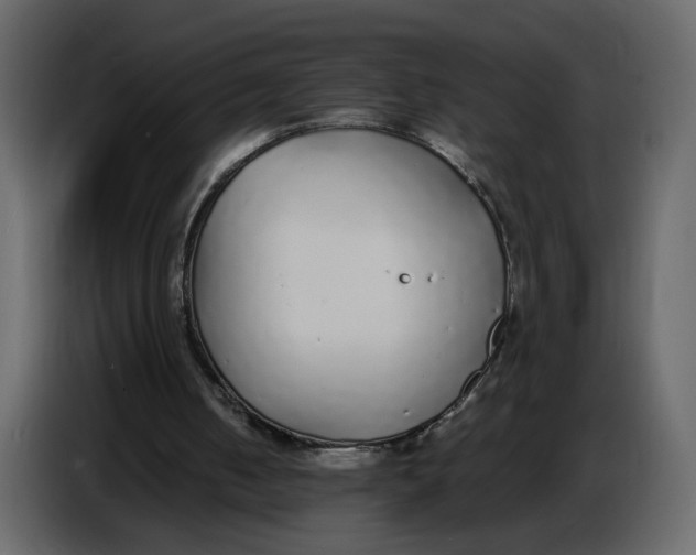 X0000086910050200705071312