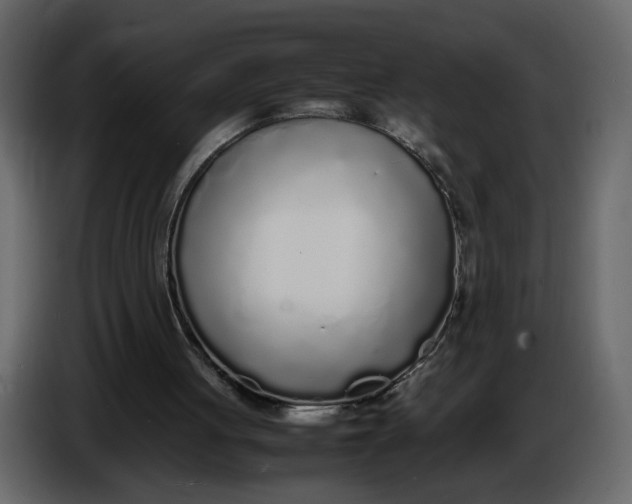 X0000086910051200705071312