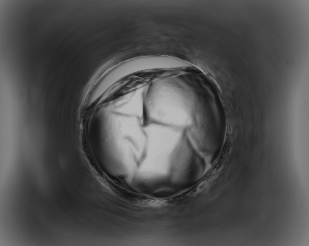 X0000086910053200705071312