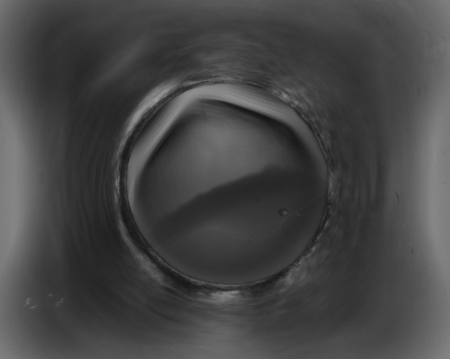 X0000086910054200705071312