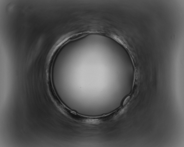 X0000086910055200705071312