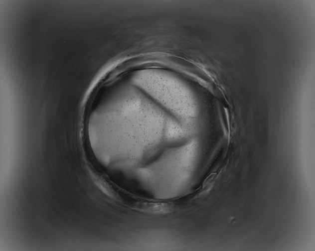 X0000086910056200705071312