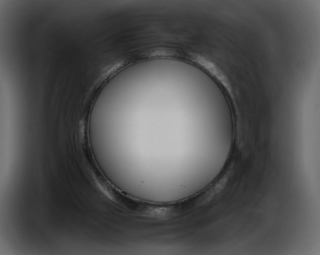 X0000086910057200705071312