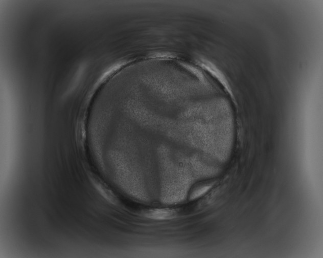 X0000086910059200705071312