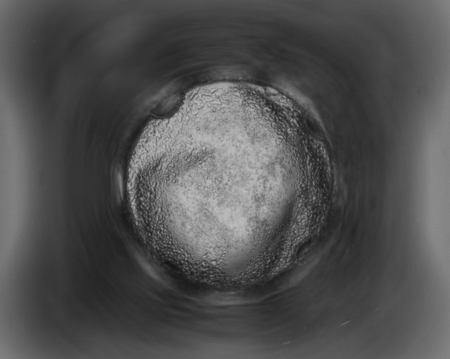 X0000086910061200705071312