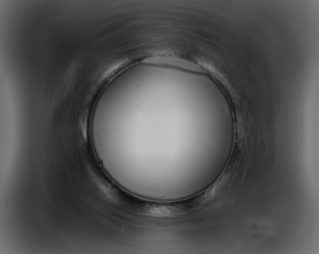 X0000086910062200705071312