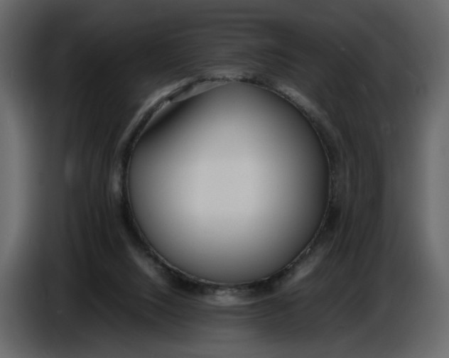 X0000086910064200705071312