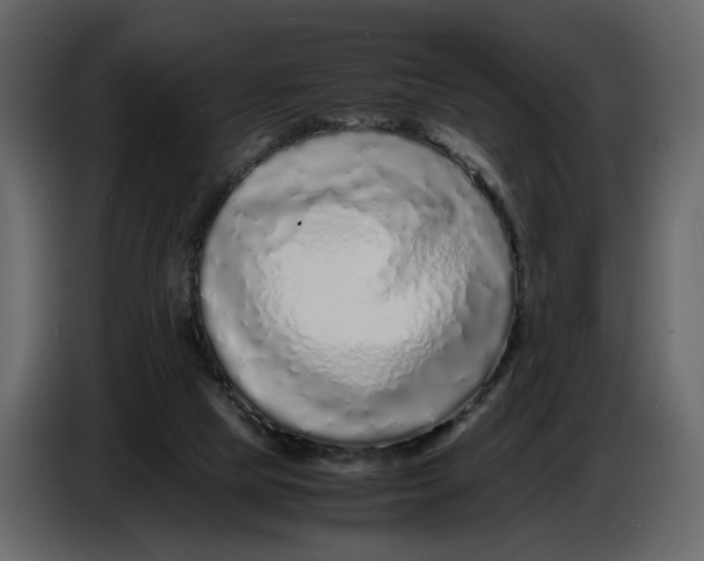 X0000086910065200705071312