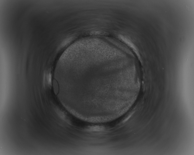 X0000086910067200705071312