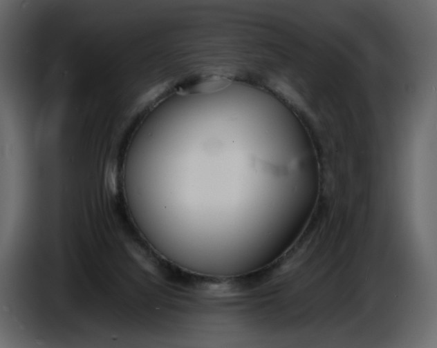 X0000086910068200705071312