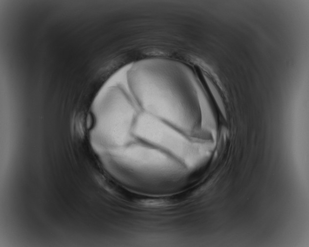 X0000086910069200705071312