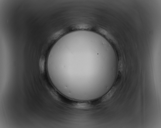 X0000086910070200705071312