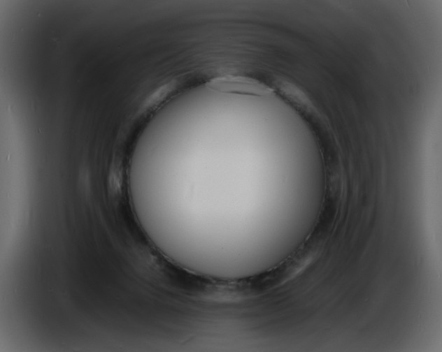 X0000086910072200705071312