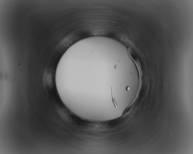 X0000086910074200705071312