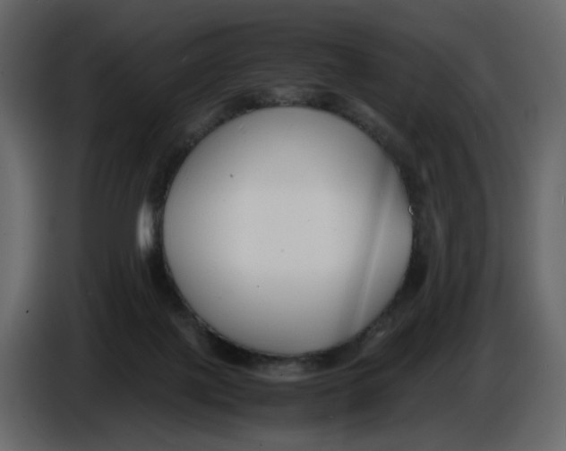 X0000086910075200705071312