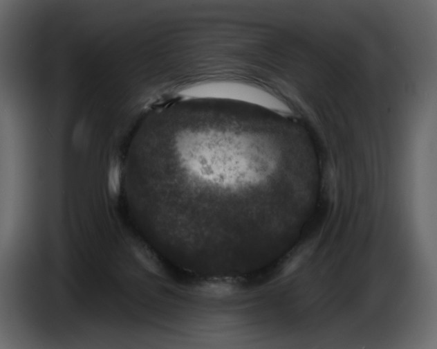 X0000086910076200705071312