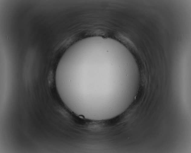 X0000086910077200705071312