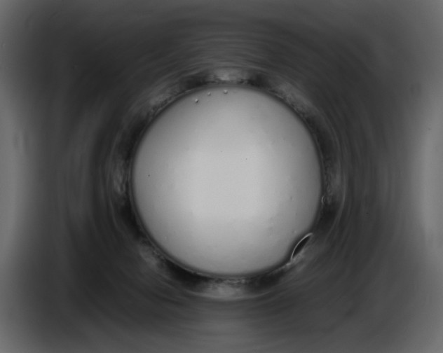 X0000086910078200705071312