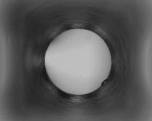 X0000086910079200705071312