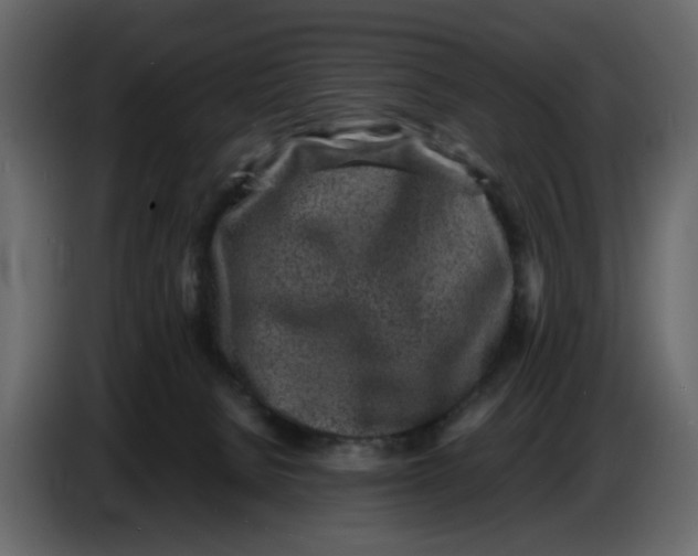 X0000086910080200705071312