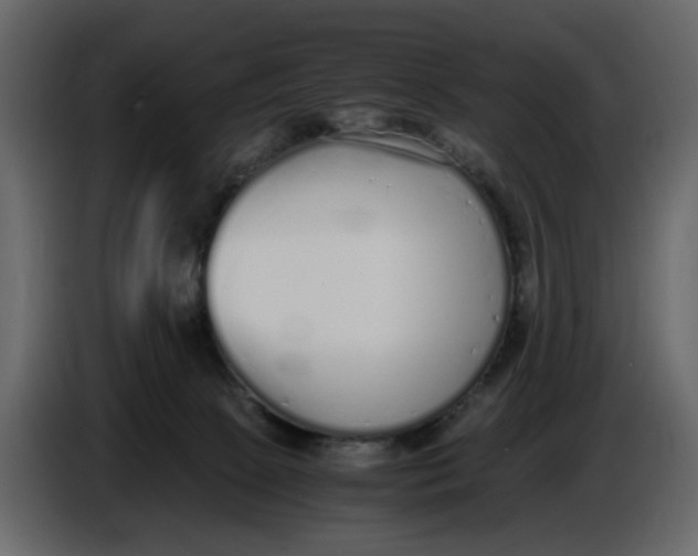 X0000086910081200705071312