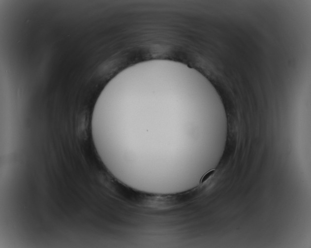 X0000086910082200705071312