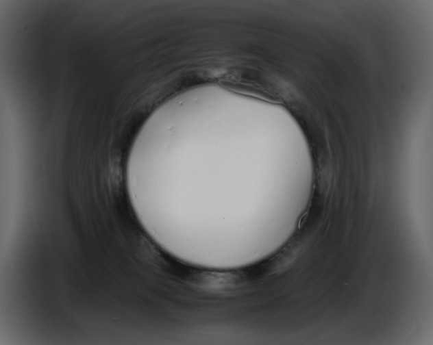 X0000086910085200705071312