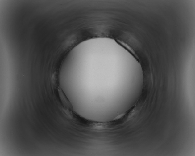 X0000086910088200705071312