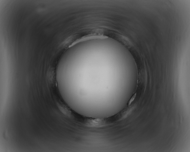 X0000086910092200705071312