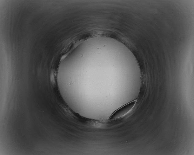 X0000086910094200705071312