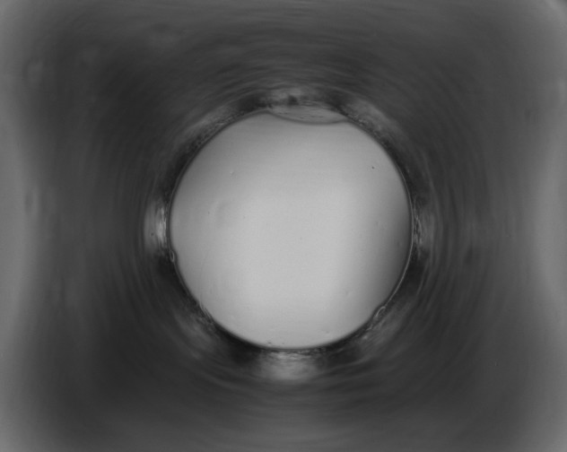 X0000086910095200705071312