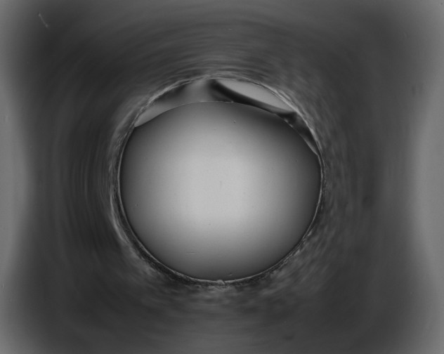 X0000086910097200705071312