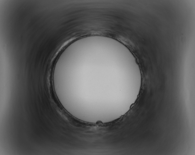 X0000086910098200705071312