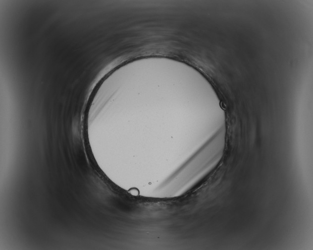 X0000086910100200705071312