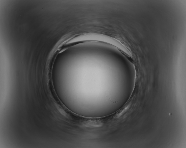 X0000086910101200705071312