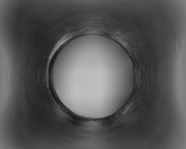 X0000086910102200705071312