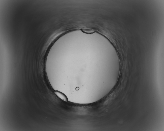 X0000086910103200705071312