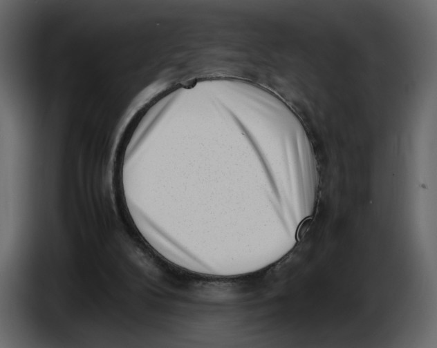 X0000086910104200705071312