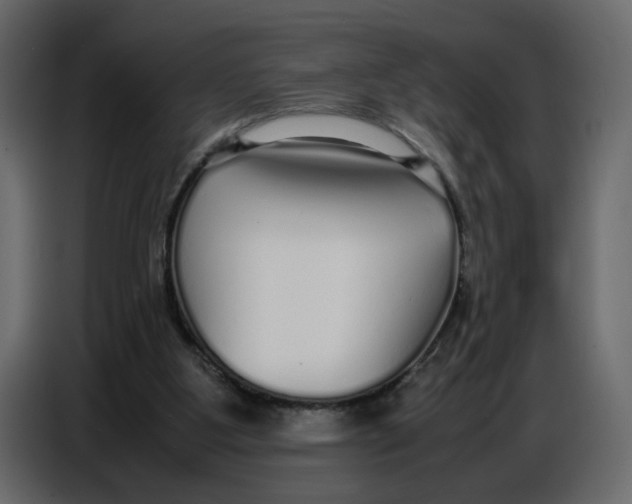 X0000086910107200705071312