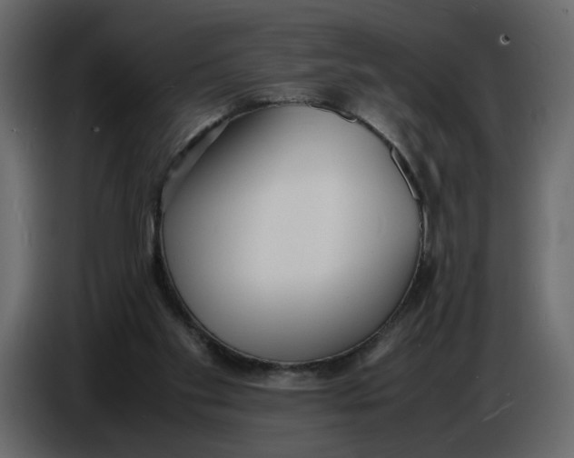 X0000086910109200705071312