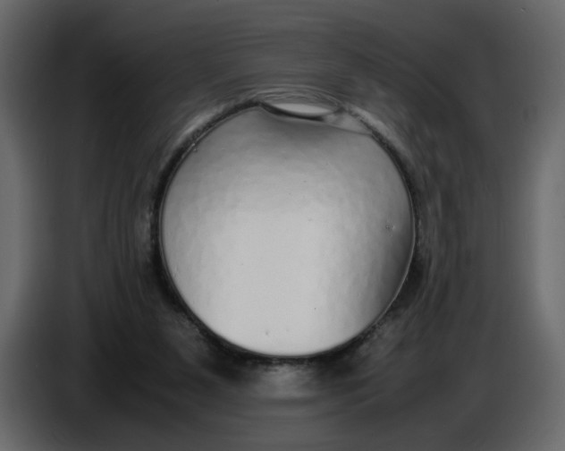 X0000086910111200705071312