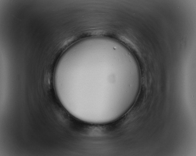 X0000086910115200705071312