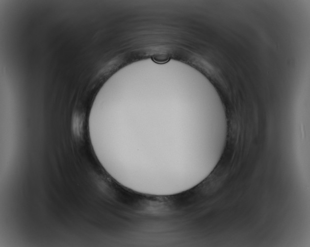 X0000086910118200705071312