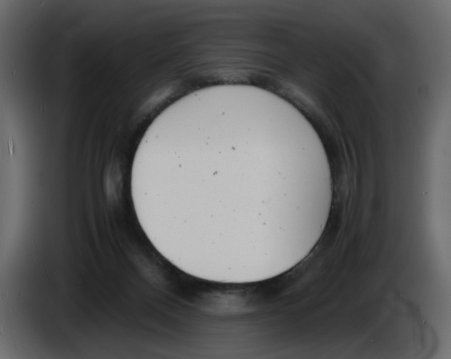 X0000086910120200705071311