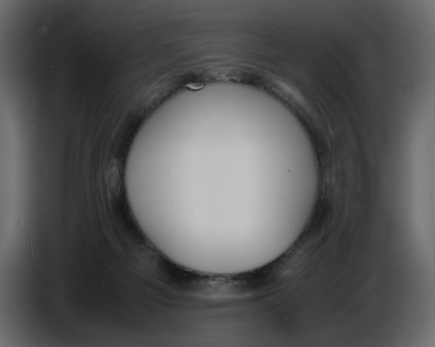 X0000086910121200705071311