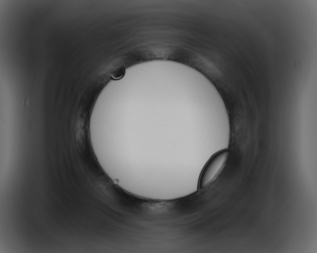 X0000086910122200705071311