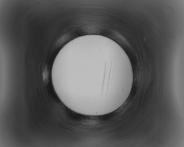 X0000086910124200705071311