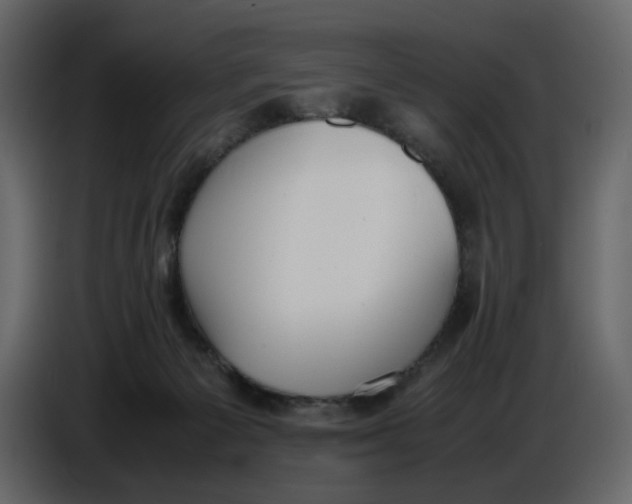 X0000086910125200705071311